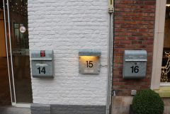 IMG 3847