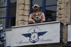 IMG 4769