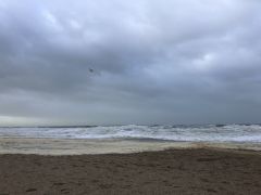 IMG 0583