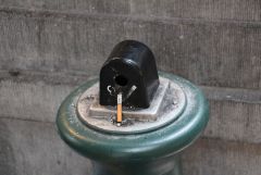 IMG 4788