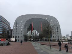 IMG 0646