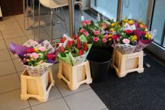 IMG_1366.JPG
