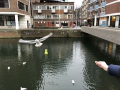 IMG 0632