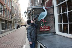 IMG 1738