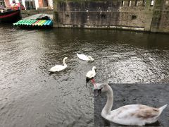 IMG 0552