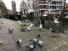 IMG 0641