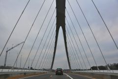 IMG 4854
