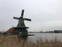 IMG 0482