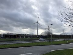 IMG 0275