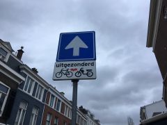IMG 1936