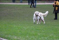 IMG 4734