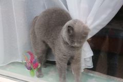 IMG_2960.JPG
