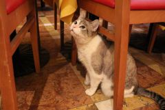 IMG 4796