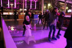 IMG_3802.JPG