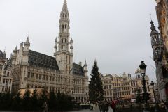 IMG 4571
