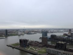 IMG 0682