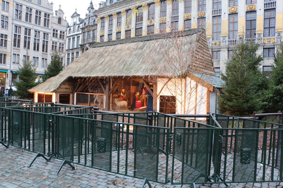 IMG 4559