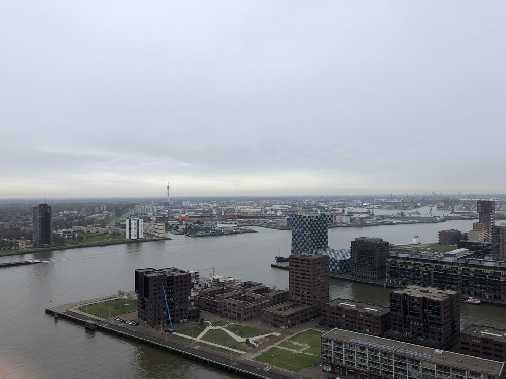 IMG 0682