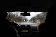 IMG 4284