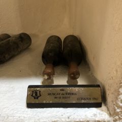 IMG_1403.JPG