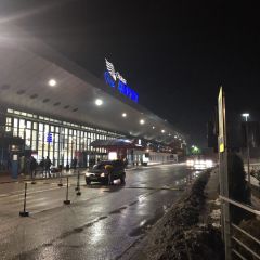 IMG 1336