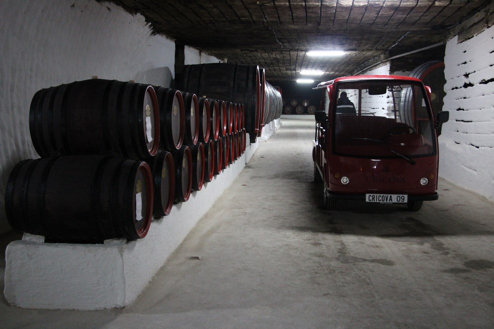 IMG 0955