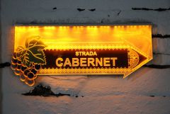 IMG_1205.JPG