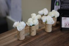 IMG 0936