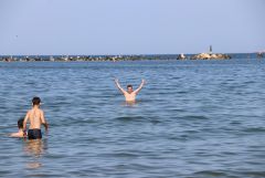 IMG 8780