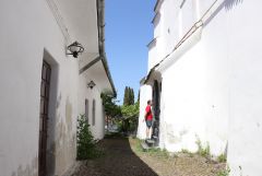 IMG_7346.JPG