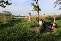 IMG 8881