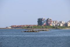 IMG 8824