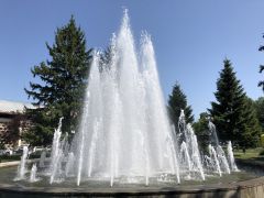 IMG 2500