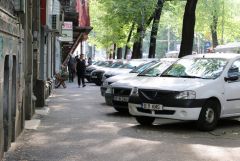 IMG 7568