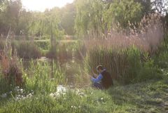 IMG 8880
