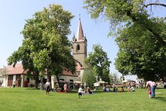 IMG_5910.JPG