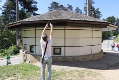 IMG 6539
