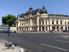 IMG 2484