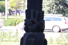 IMG 9718