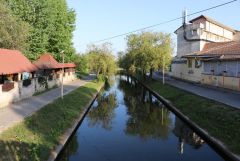 IMG 8862