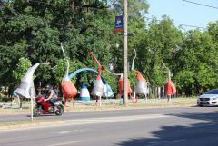 IMG_9434.JPG