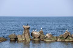 IMG 8818