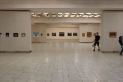IMG 7981