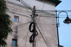 IMG_9517.JPG