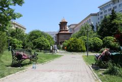 IMG 8051
