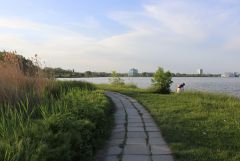 IMG 8899
