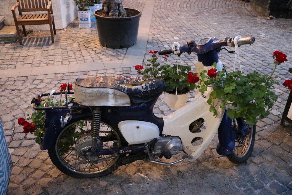 IMG 7740