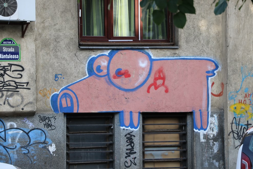 IMG 7556