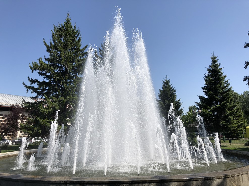 IMG 2500