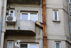 IMG 7564